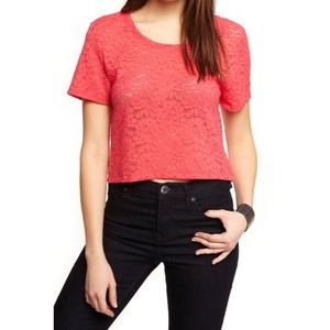 Express Pink Lace Crop Top